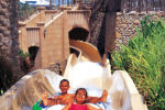 Аквапарк Wild Wadi